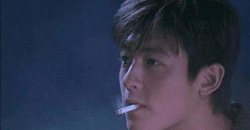 铁T喜欢的明星,揭秘我心目中的璀璨明星