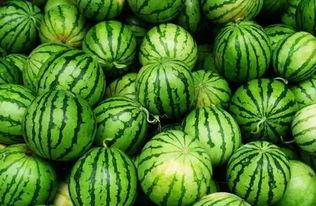 吃瓜群免费进入,吃瓜群免费进入，揭秘网络社交新趋势