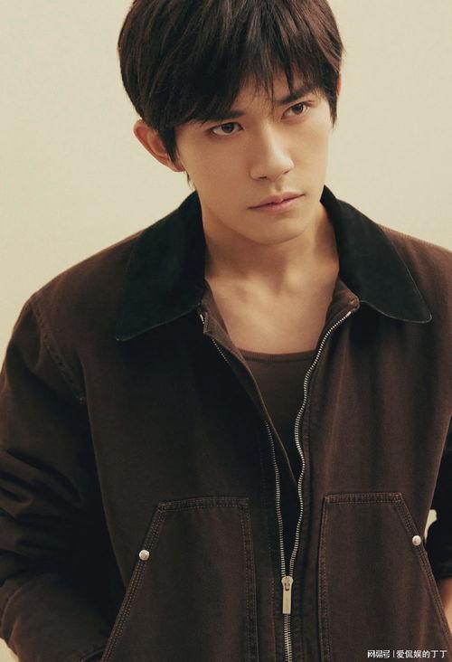 内娱男明星商务,商业价值与跨界合作全解析