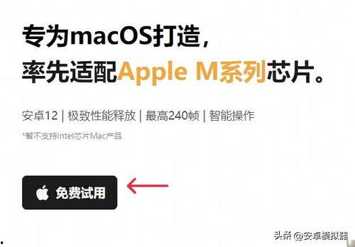 如何进入头条个人动态,探索个性化信息流之旅