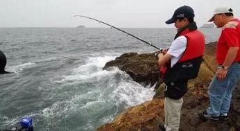 怎样成为钓鱼明星小说,揭秘钓鱼明星的崛起之路