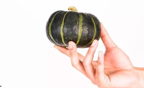 小瓜怎做给宝宝吃,宝宝营养美味两不误