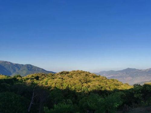 龙陵头条,聚焦龙陵最新动态，洞察民生百态