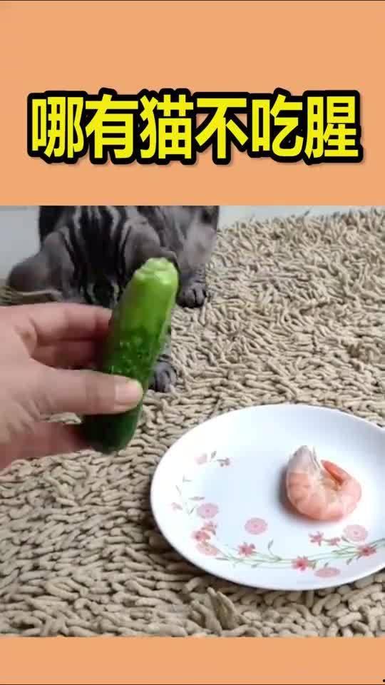 吃瓜群众不吃芹菜,芹菜禁忌，揭秘不吃芹菜的奥秘