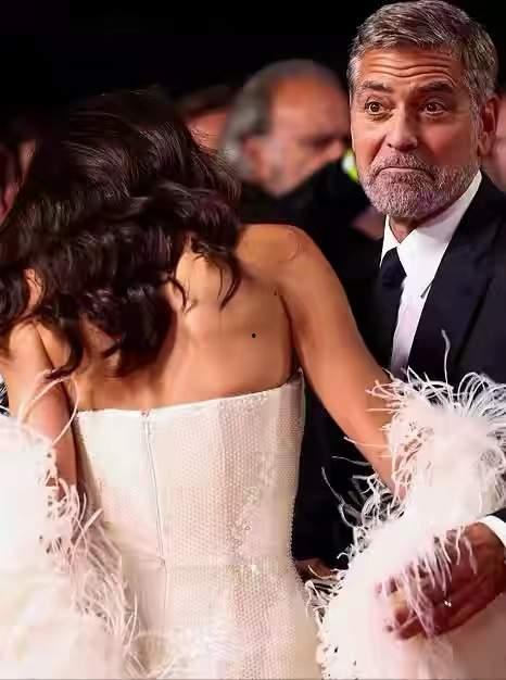 阿迈网红,网络时代的璀璨新星