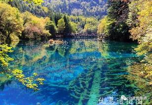 九寨沟网红小吃网购群,带你品尝云端美味