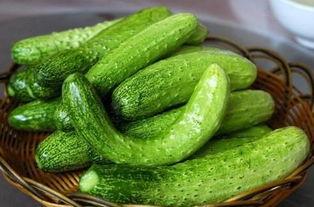 田瓜适合减肥吃吗,减肥饮食中的理想之选？