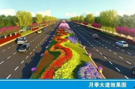 今日头条南阳月季展厅,探寻月季花海中的文化瑰宝