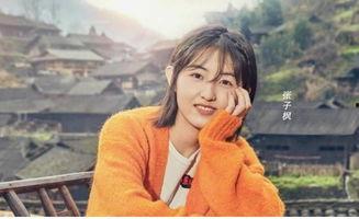 河南省现代明星,河南现代明星风采掠影