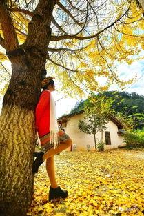 平安南雄抖音网红,揭秘平安南雄的网红魅力