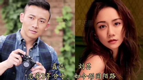 明星看前任,情感纠葛背后的故事