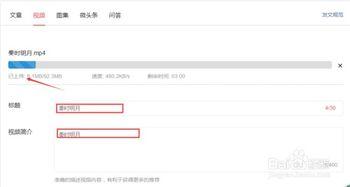 最新版头条视频怎么上传,头条视频上传与生成概述文章副标题全攻略