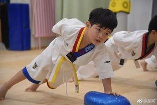 少儿跆拳道明星,闪耀赛场，传承武术精神