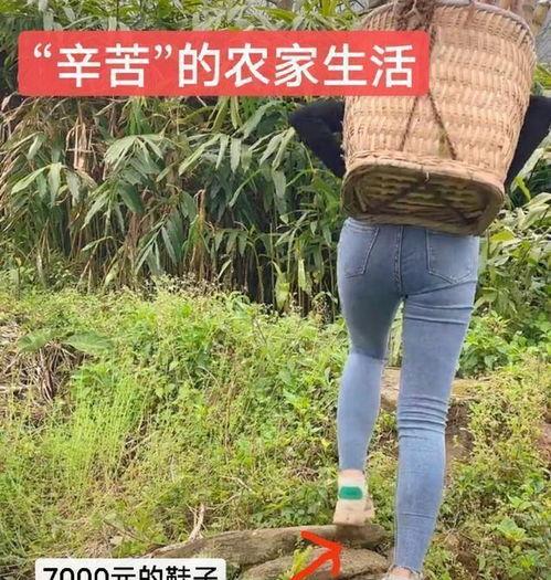 信丰农家女网红有哪些,田园生活新风尚的传播者